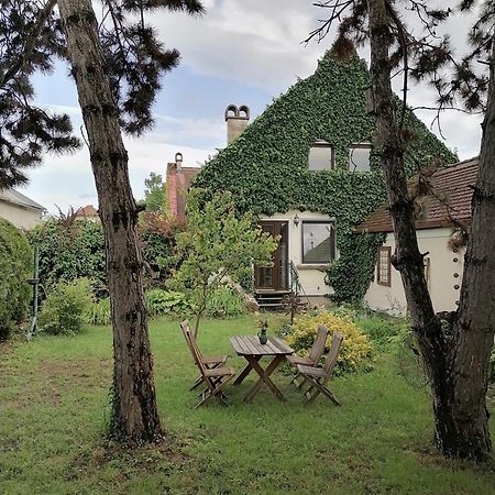 Gartenapartment Storchenblick Weiden am See Eksteriør bilde