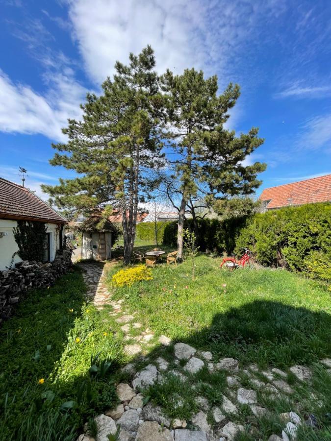Gartenapartment Storchenblick Weiden am See Eksteriør bilde
